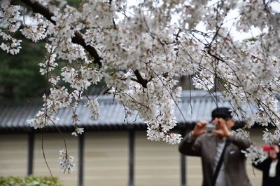 Close-up of flowers against blurred background