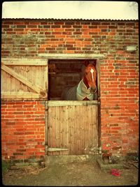 Brick wall with brick wall