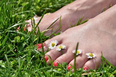 Low section of woman with flowers standing on grass