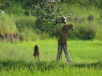 Scarecrow on agricultural field