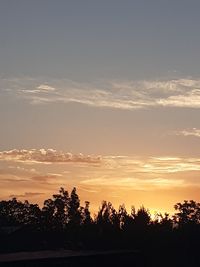 Silhouette trees against sky during sunset