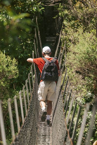 Rear view of man walking on footbridge in forest