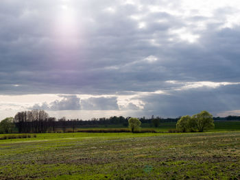 Scenic view of field against sky