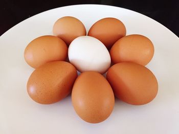 Close-up of food on white background