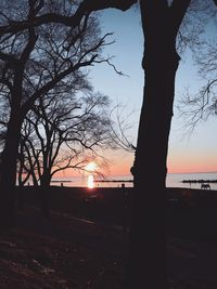 Silhouette trees by lake against sky during sunset