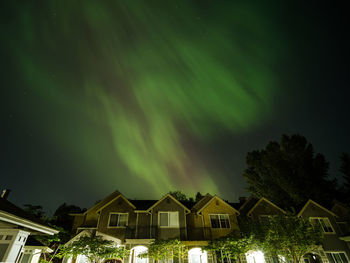 Low angle view of trees against sky at night