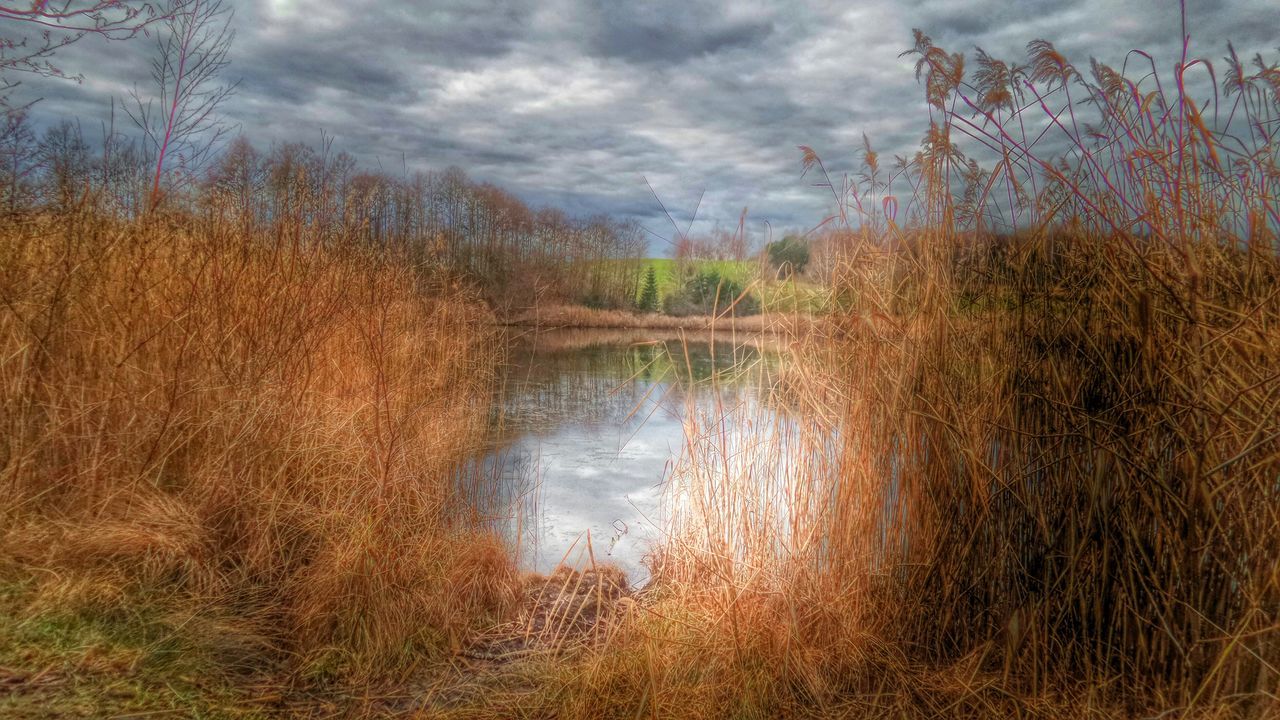 sky, tranquility, tranquil scene, water, cloud - sky, tree, scenics, reflection, beauty in nature, nature, lake, growth, cloudy, cloud, plant, landscape, non-urban scene, grass, idyllic, outdoors