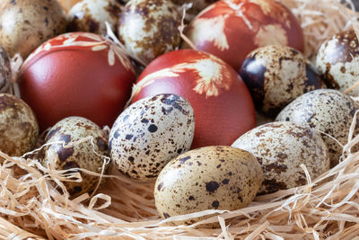 Close-up of eggs