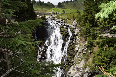 High angle view of waterfall in forest