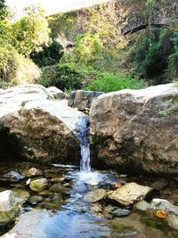 Stream flowing through rocks in forest