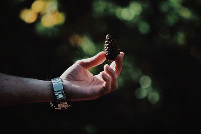 Close-up of hand holding leaf against blurred background