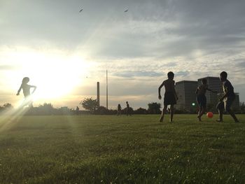Sun shining over grassy field