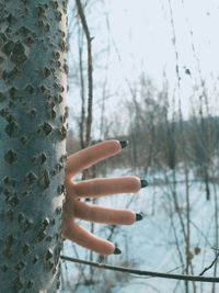 Close-up of hand against plants in water