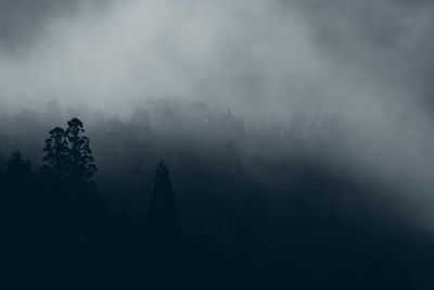 Silhouette trees on landscape against sky