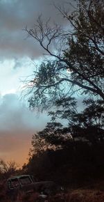 Low angle view of bare trees against sky