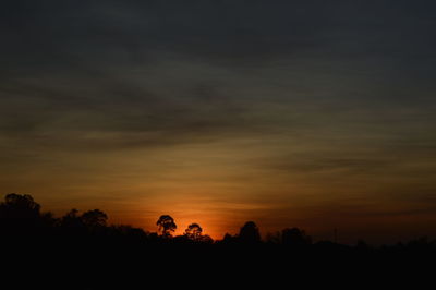 Silhouette trees against dramatic sky during sunset