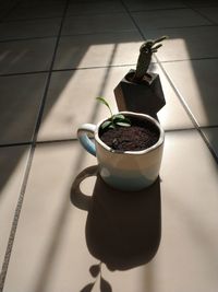 High angle view of potted plant on table