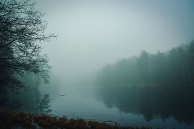 Scenic view of lake in forest against sky