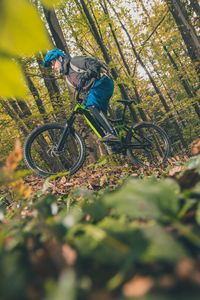 Person riding bicycle in forest