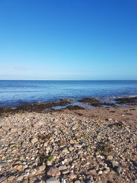 Scenic view of sea against clear blue sky