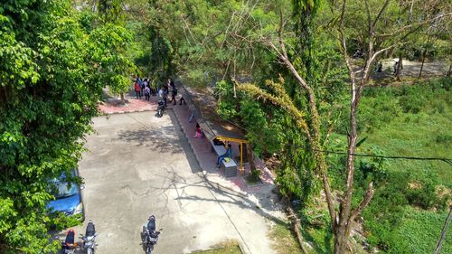 High angle view of people walking on road along trees