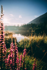 Scenic view of lake against sky during sunset