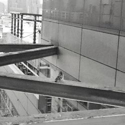 Staircase in building