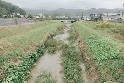 Road passing through agricultural field