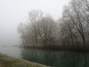 Reflection of bare trees in lake against clear sky