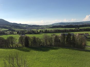 Scenic view of field against sky