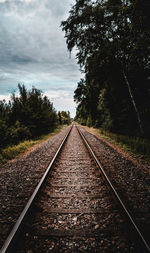 View of railway tracks along trees