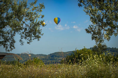 View of hot air balloon against sky