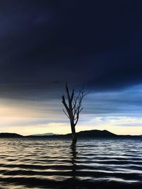 Silhouette bare tree by sea against sky during sunset