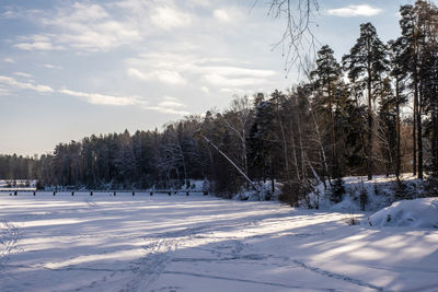 Trees on snow covered field against sky