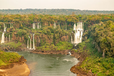 Scenic view of waterfall along trees