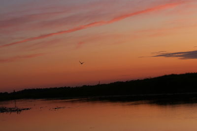 Scenic view of orange sky