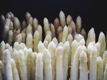 Close-up of white candies against black background