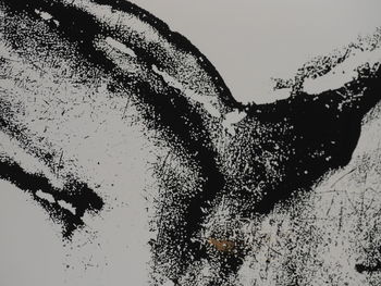 Low angle view of silhouette tree against sky