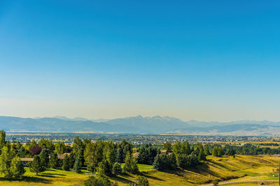 Scenic view of agricultural field against clear sky