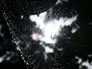 Close-up of water at night