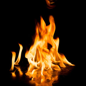 Close-up of bonfire at night