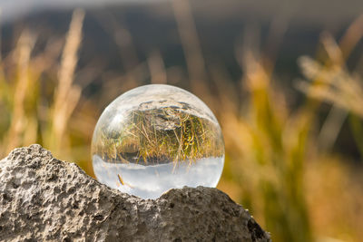 Close-up of crystal ball on rock