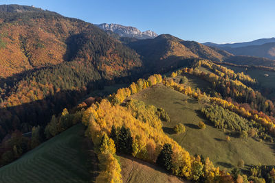 environment