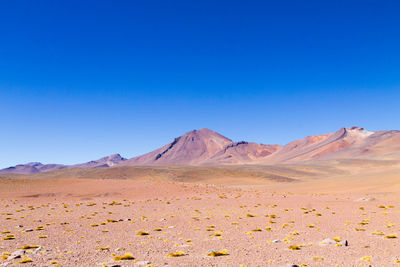 Scenic view of desert against clear blue sky