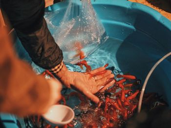 Cropped image of man putting goldfish in tub