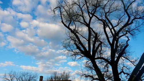 Low angle view of bare tree against sky