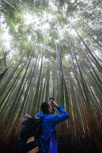 Low angle view of man photographing in bamboo groove