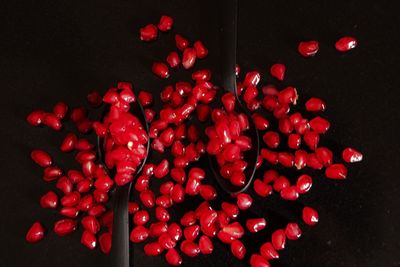 High angle view of red berries over black background