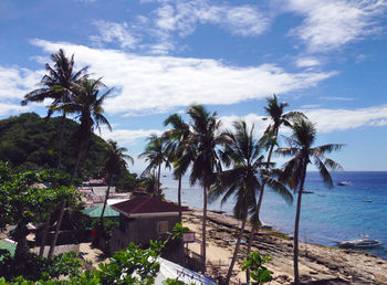 Palm trees on beach against sky