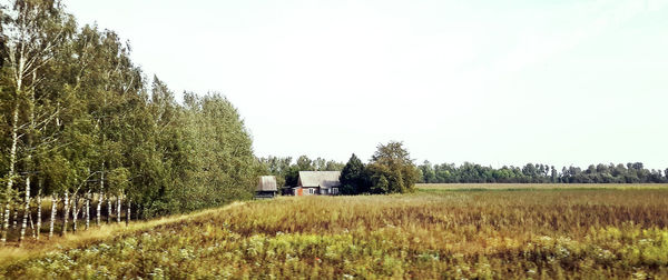 Agricultural field against clear sky